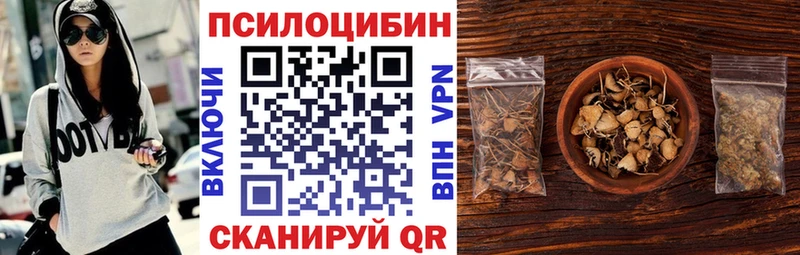 Галлюциногенные грибы мицелий  Купить  Лесной 